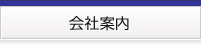 株式会社アイレックス　会社情報