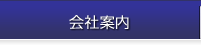 株式会社アイレックス　会社情報